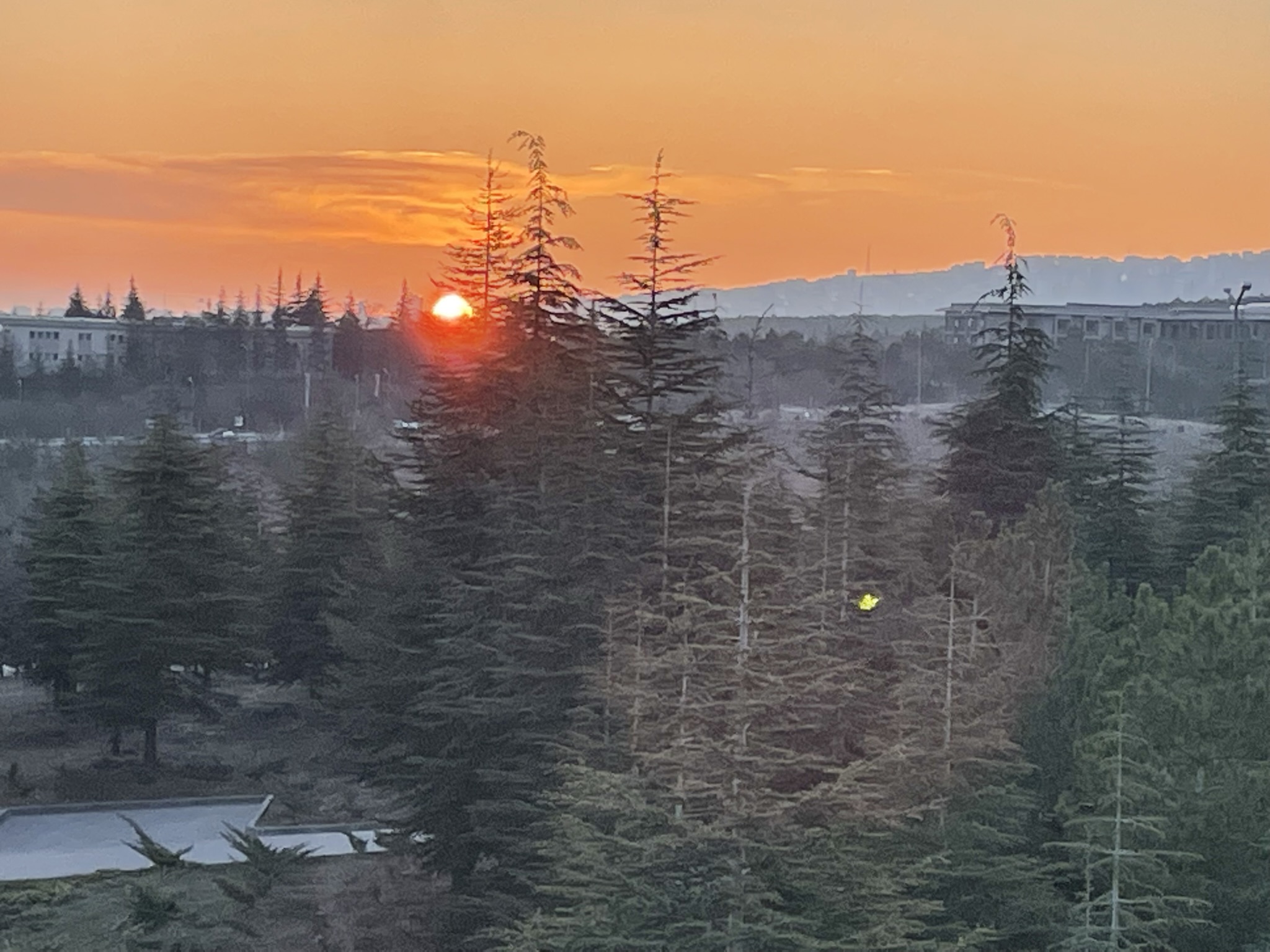 bilkent campus sunrise